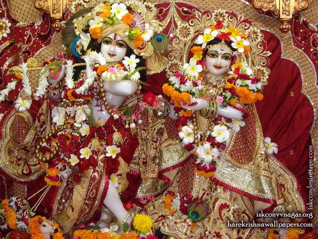Sri Sri Radha Giridhari Wallpaper (009) Size 1280×1024 Download
