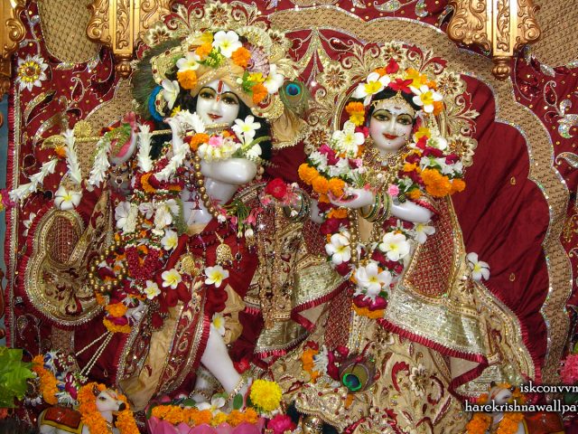 Sri Sri Radha Giridhari Wallpaper (009) Size 1440×900 Download