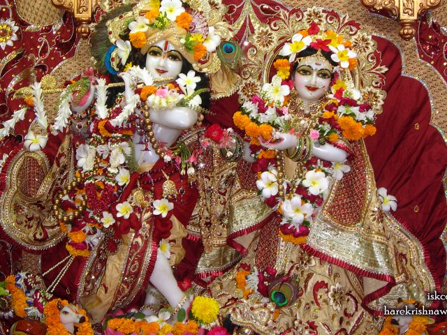 Sri Sri Radha Giridhari Wallpaper (009) Size 1920×1080 Download