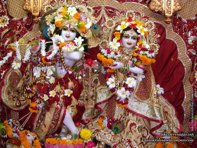 Sri Sri Radha Giridhari Wallpaper (009) Size 1920×1440 Download