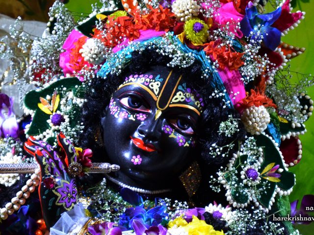 Sri Madan Gopal Close up Wallpaper (010) Size 2400×1350 Download