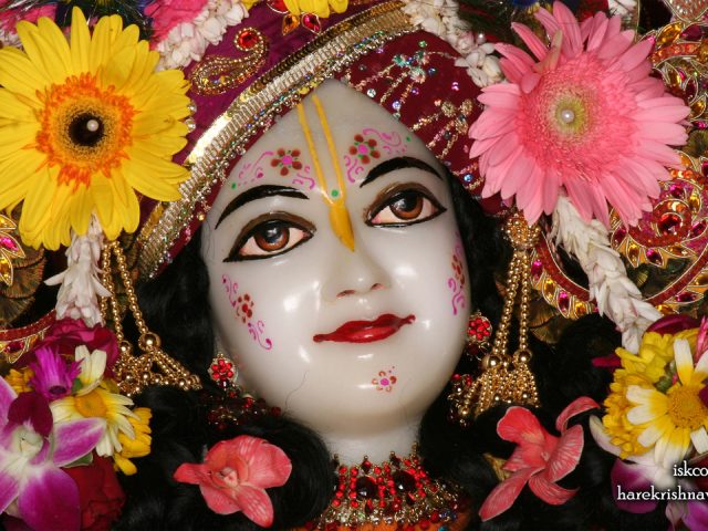 Sri Nitai Close up Wallpaper (010) Size 1280×720 Download