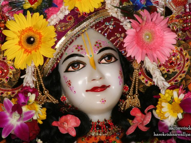 Sri Nitai Close up Wallpaper (010) Size 2560×1600 Download