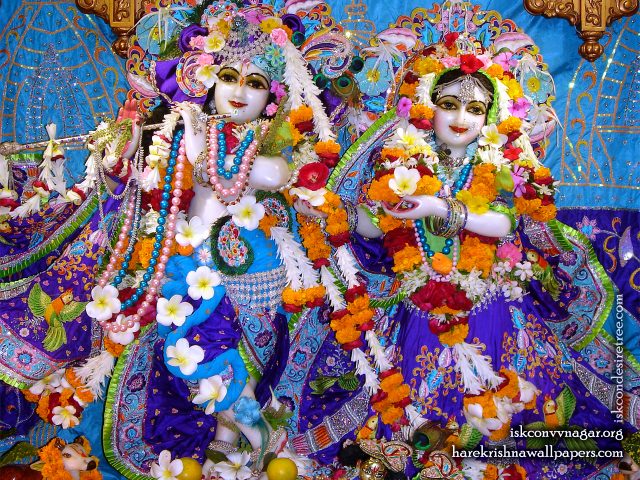Sri Sri Radha Giridhari Wallpaper (010) Size 1280×1024 Download