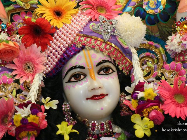 Sri Nitai Close up Wallpaper (011) Size 1920×1080 Download