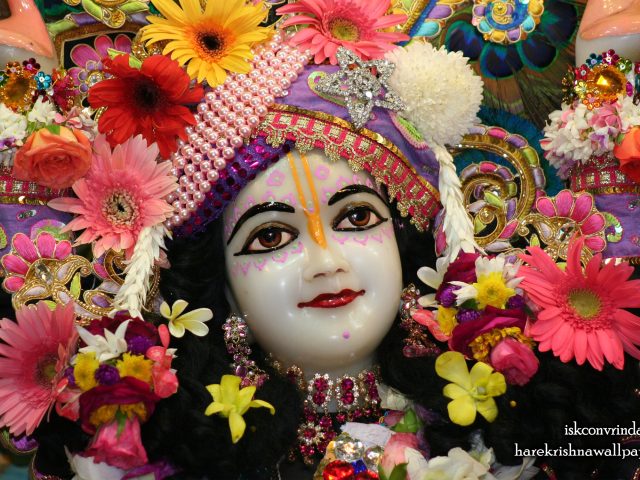 Sri Nitai Close up Wallpaper (011) Size 2560×1600 Download