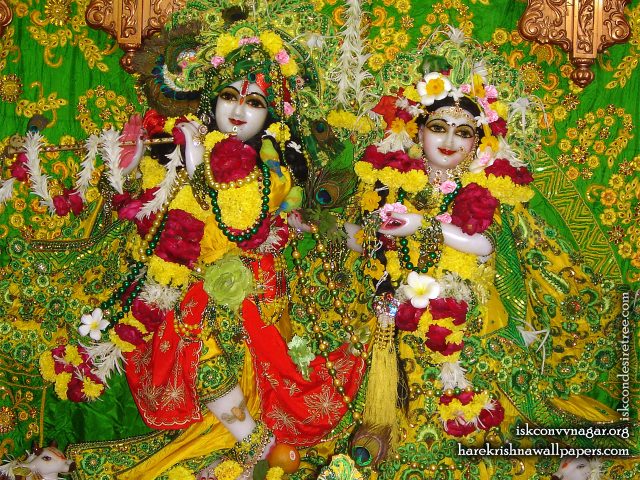 Sri Sri Radha Giridhari Wallpaper (011) Size 1280×1024 Download