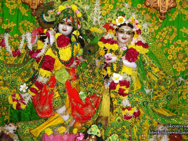 Sri Sri Radha Giridhari Wallpaper (011) Size 1680×1050 Download
