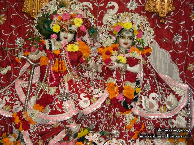 Sri Sri Radha Giridhari Wallpaper (012) Size 1280×1024 Download