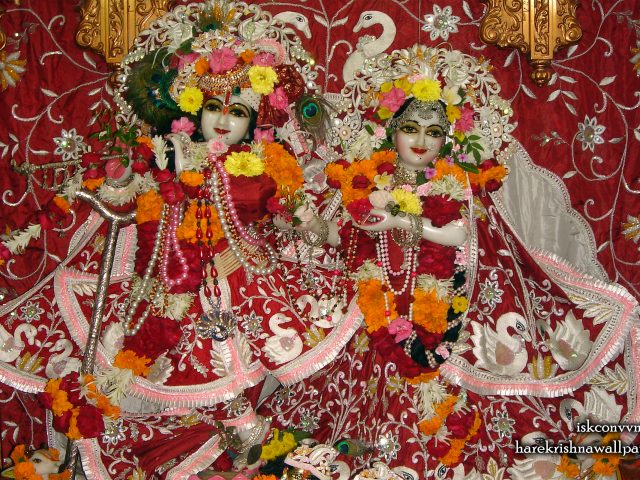 Sri Sri Radha Giridhari Wallpaper (012) Size 2560×1600 Download