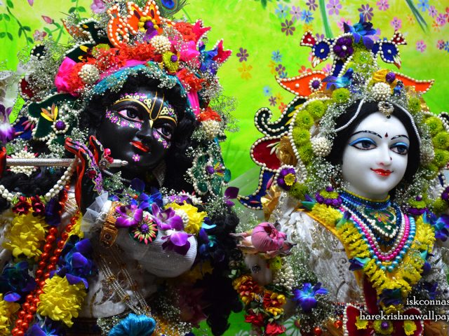 Sri Sri Radha Madan Gopal Close up Wallpaper (012) Size 1440×900 Download