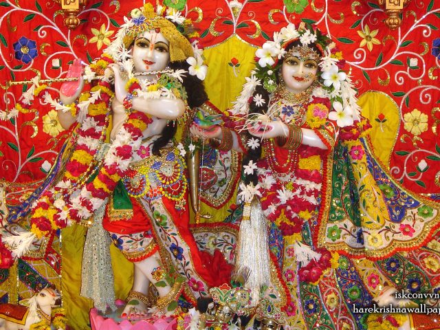 Sri Sri Radha Giridhari Wallpaper (013) Size 1920×1200 Download