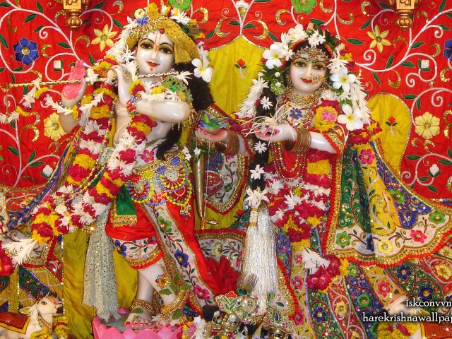 Sri Sri Radha Giridhari Wallpaper (013) Size 2560×1600 Download