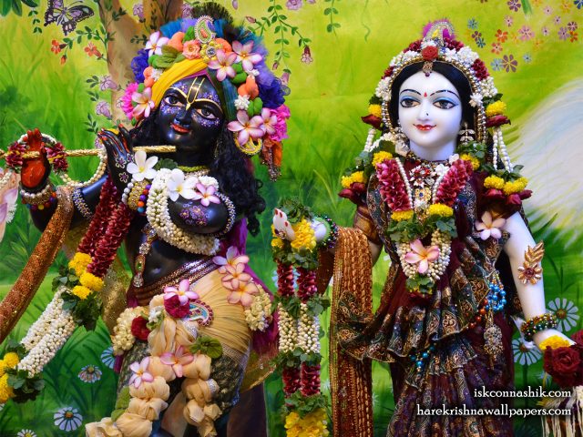 Sri Sri Radha Madan Gopal Close up Wallpaper (013) Size 1280×1024 Download