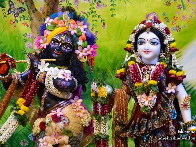 Sri Sri Radha Madan Gopal Close up Wallpaper (013) Size 1680×1050 Download