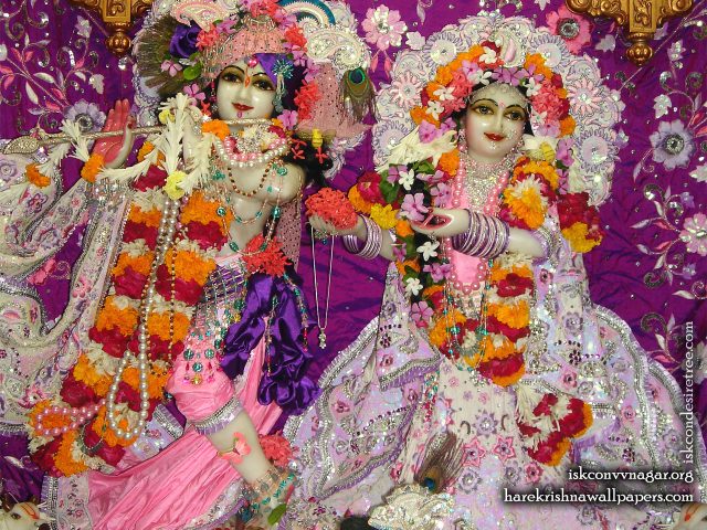 Sri Sri Radha Giridhari Wallpaper (014) Size 1280×1024 Download