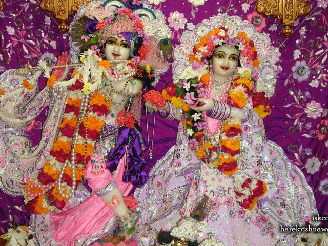 Sri Sri Radha Giridhari Wallpaper (014) Size 1280×720 Download