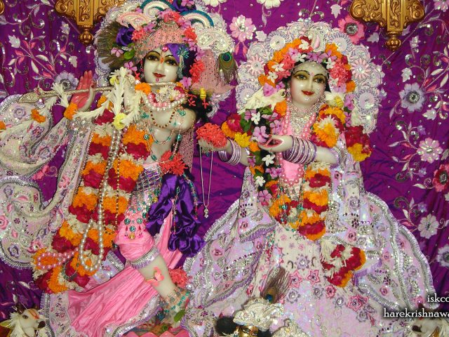 Sri Sri Radha Giridhari Wallpaper (014) Size 1600×900 Download