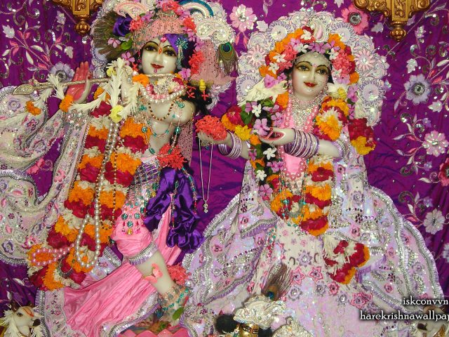 Sri Sri Radha Giridhari Wallpaper (014) Size 1920×1200 Download