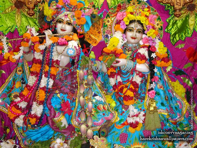 Sri Sri Radha Giridhari Wallpaper (015) Size 1280×1024 Download