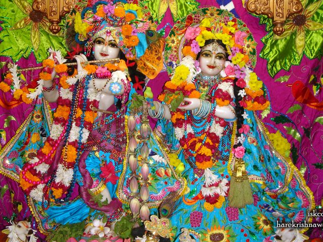 Sri Sri Radha Giridhari Wallpaper (015) Size 1600×900 Download