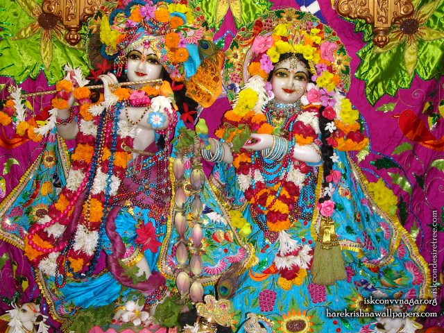 Sri Sri Radha Giridhari Wallpaper (015) Size 2400×1800 Download
