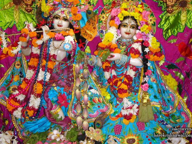 Sri Sri Radha Giridhari Wallpaper (015) Size 2560×1600 Download