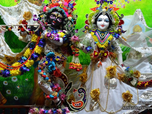 Sri Sri Radha Madan Gopal Wallpaper (015) Size 1280×800 Download