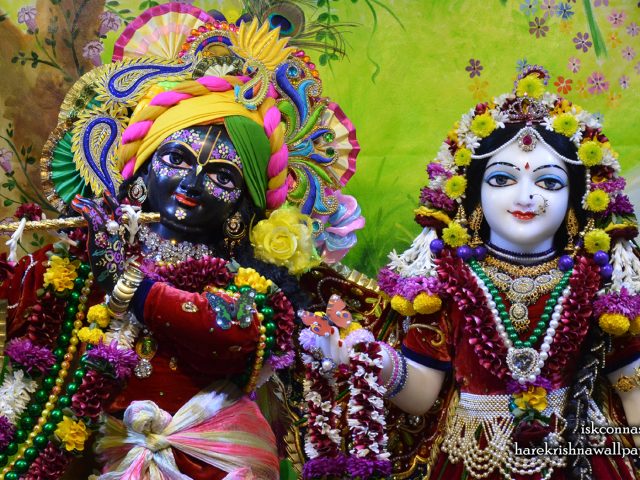 Sri Sri Radha Madan Gopal Close up Wallpaper (015) Size 1680×1050 Download