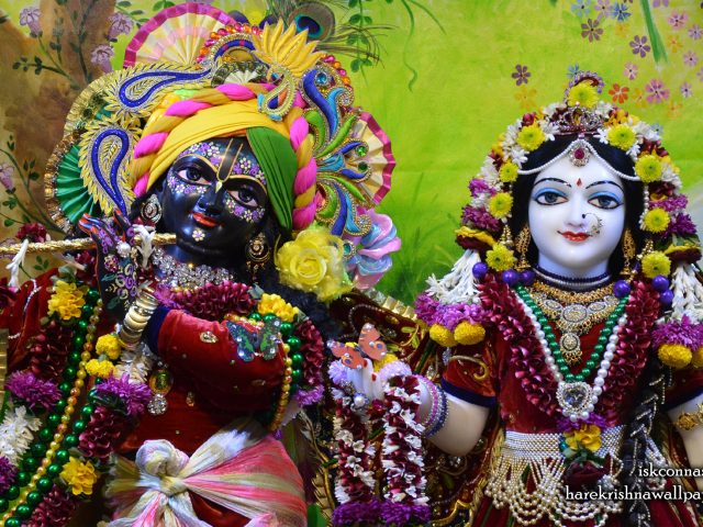 Sri Sri Radha Madan Gopal Close up Wallpaper (015) Size 2560×1600 Download