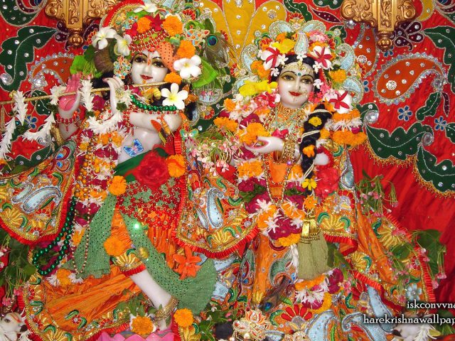 Sri Sri Radha Giridhari Wallpaper (016) Size 1440×900 Download