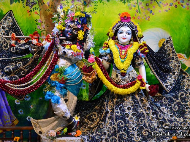Sri Sri Radha Madan Gopal Wallpaper (016) Size 1440×900 Download