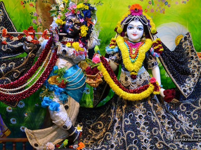Sri Sri Radha Madan Gopal Wallpaper (016) Size 2400×1350 Download