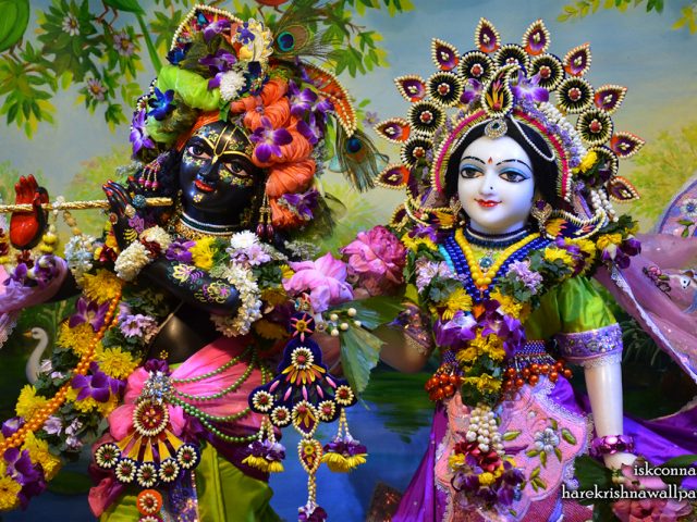 Sri Sri Radha Madan Gopal Close up Wallpaper (016) Size 1280×800 Download