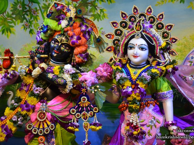 Sri Sri Radha Madan Gopal Close up Wallpaper (016) Size 1680×1050 Download