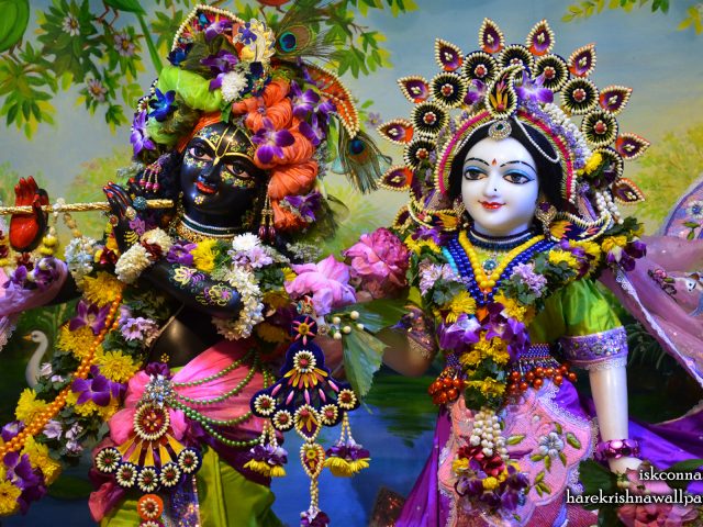 Sri Sri Radha Madan Gopal Close up Wallpaper (016) Size 1920×1200 Download