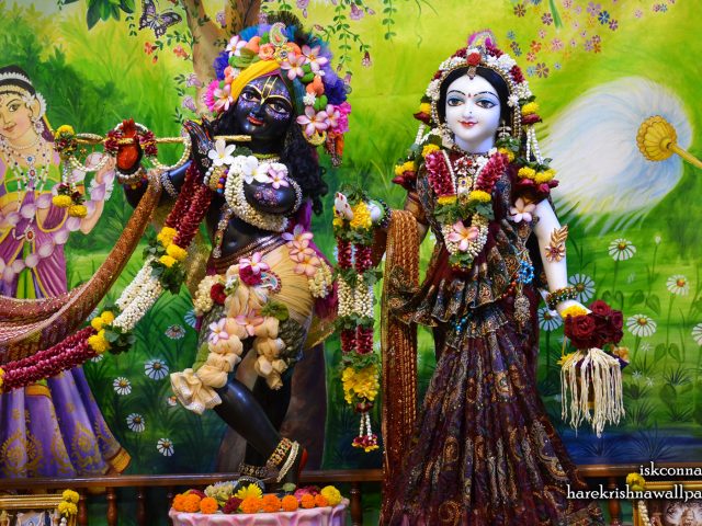 Sri Sri Radha Madan Gopal Wallpaper (017) Size 1680×1050 Download