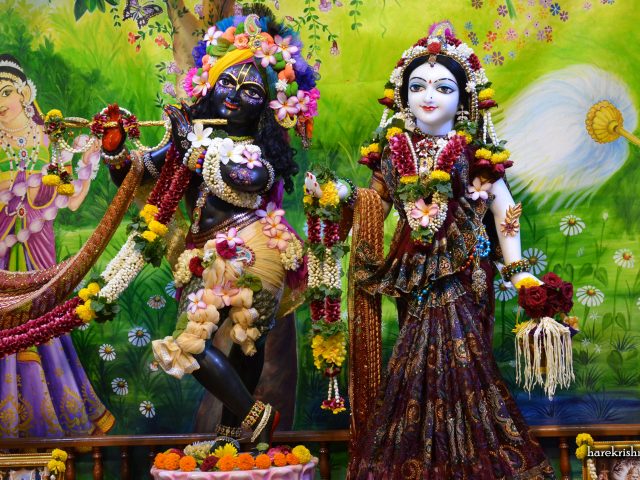 Sri Sri Radha Madan Gopal Wallpaper (017) Size 2400×1350 Download
