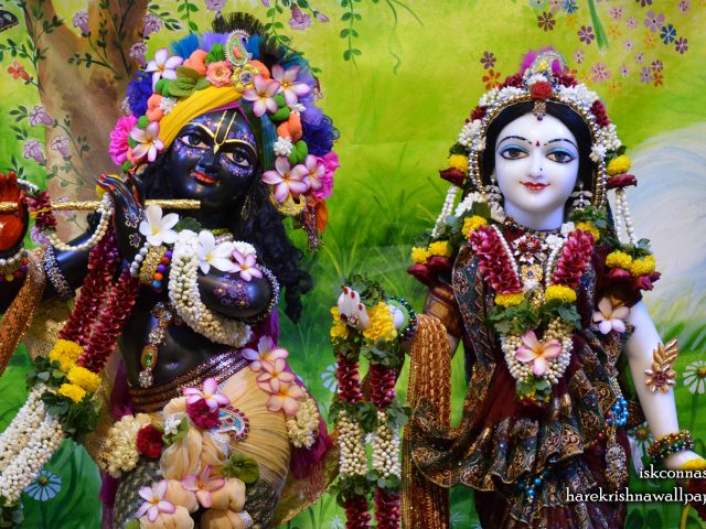 Sri Sri Radha Madan Gopal Close up Wallpaper (017) Size 2560×1600 Download