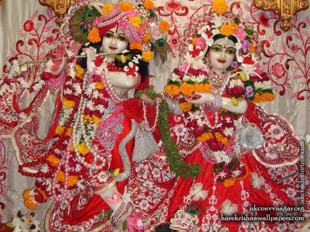 Sri Sri Radha Giridhari Wallpaper (018) Size 1280×1024 Download