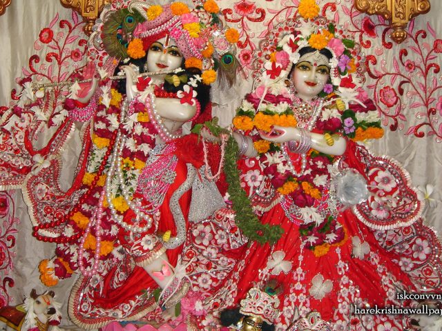 Sri Sri Radha Giridhari Wallpaper (018) Size 1280×800 Download