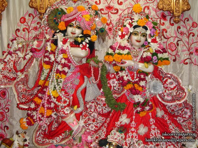 Sri Sri Radha Giridhari Wallpaper (018) Size 1600×1200 Download