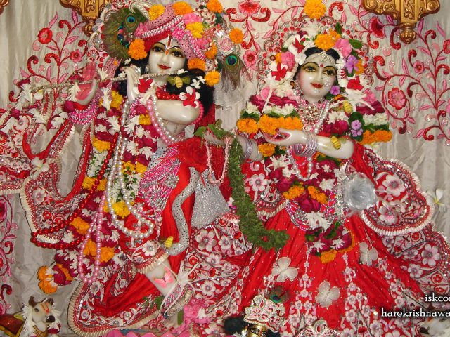 Sri Sri Radha Giridhari Wallpaper (018) Size 1920×1080 Download