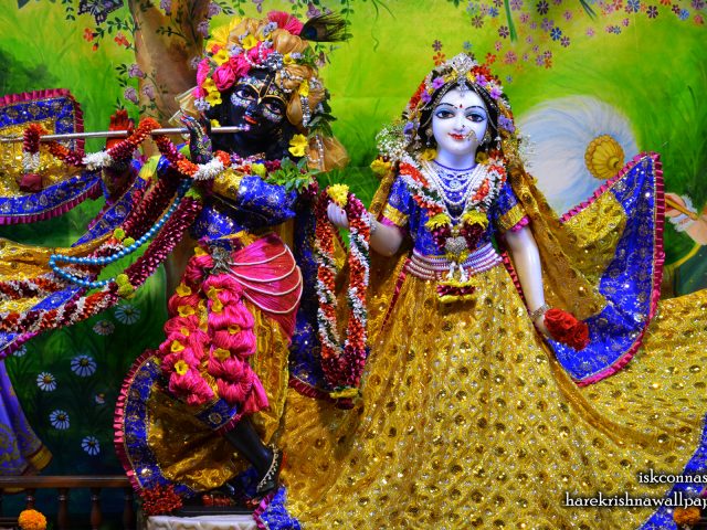 Sri Sri Radha Madan Gopal Wallpaper (018) Size 1920×1200 Download