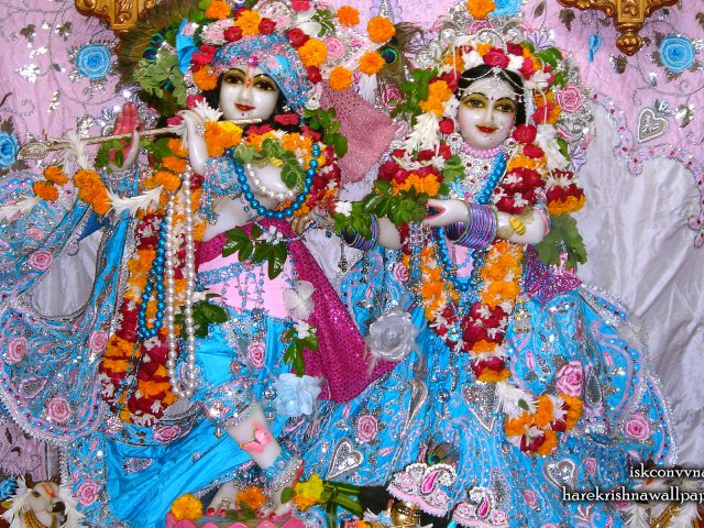 Sri Sri Radha Giridhari Wallpaper (019) Size 1920×1200 Download