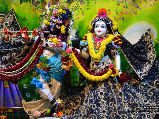 Sri Sri Radha Madan Gopal Wallpaper (019) Size 1680×1050 Download