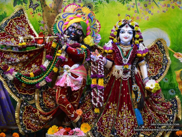 Sri Sri Radha Madan Gopal Wallpaper (020) Size 1280×960 Download