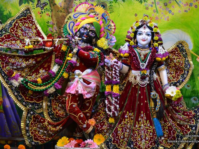 Sri Sri Radha Madan Gopal Wallpaper (020) Size 1680×1050 Download