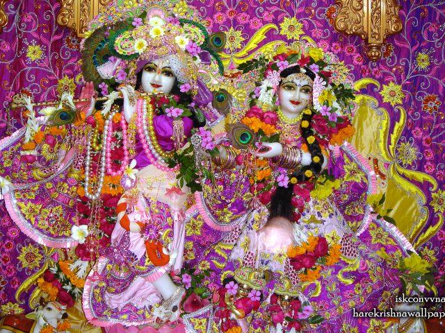 Sri Sri Radha Giridhari Wallpaper (021) Size 2560×1600 Download