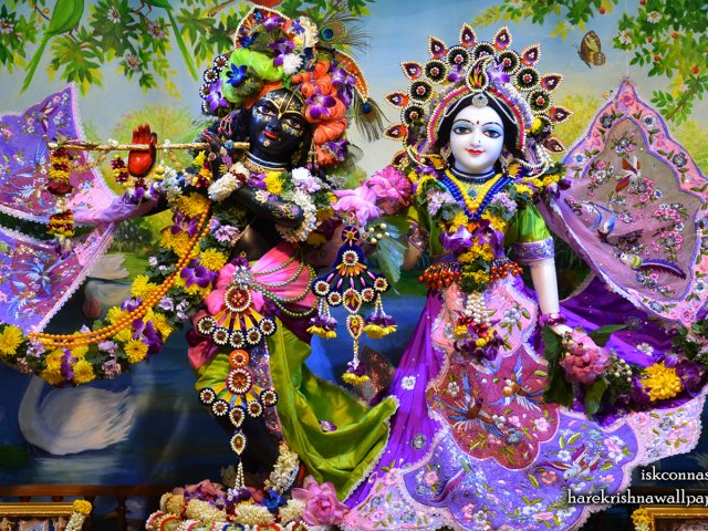 Sri Sri Radha Madan Gopal Wallpaper (021) Size 1440×900 Download